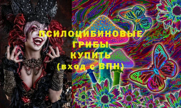 марки lsd Вяземский